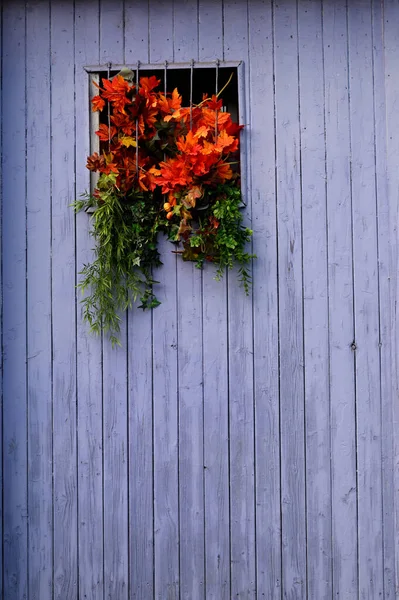 赤い花の古い木製のドア ロイヤリティフリーのストック画像