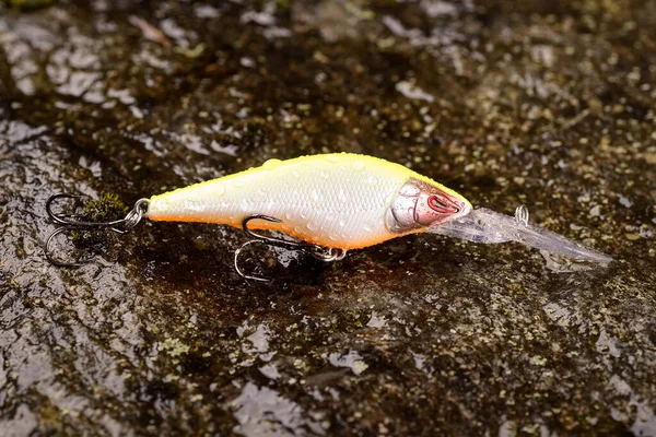 Fishing lure wobbler on a wet stone with moss