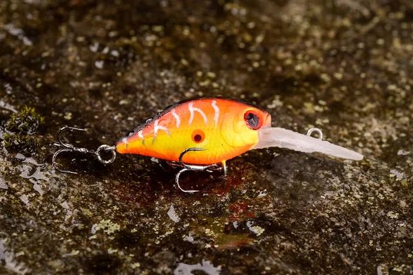 Fishing lure wobbler on a wet stone with moss