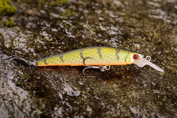 Fishing lure wobbler on a wet stone with moss