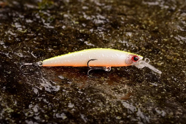 Fishing lure wobbler on a wet stone with moss