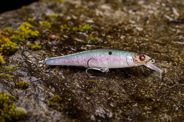 Fishing lure wobbler on a wet stone with moss