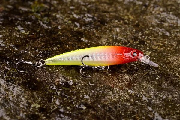 Fishing lure wobbler on a wet stone with moss