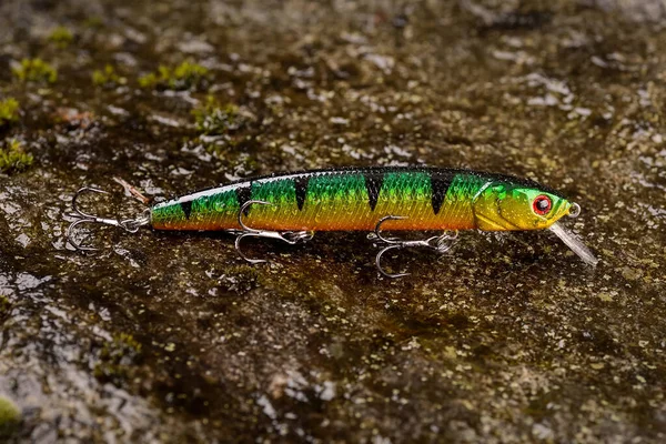 Fishing lure wobbler on a wet stone with moss