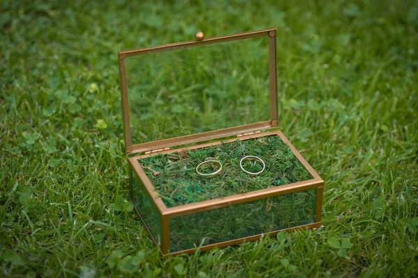 Wedding Engagement Rings Close Lying Moss Nature Wedding Rustic Style — Stock Photo, Image