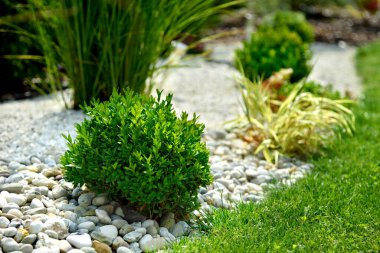 Yeşil çim biçimli ve renkli çiçekli güzel İngiliz Tarzı Peyzaj Bahçesi Manzarası