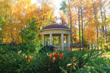 Sonbaharda parktaki güzel şehir çardağı