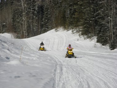 Two snowmobilers riding on a groomed snowmobile trail near Waskesiu in Central Saskatchewan. clipart