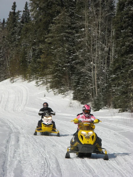 Two snowmobilers riding on a groomed snowmobile trail near Waskesiu in Central Saskatchewan.