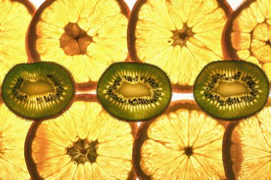 kivi ve portakallar ışıkta. meyve süsü