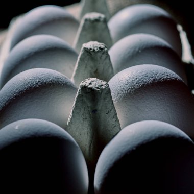 Yan lambanın altına tavuk yumurtası koydum. doku