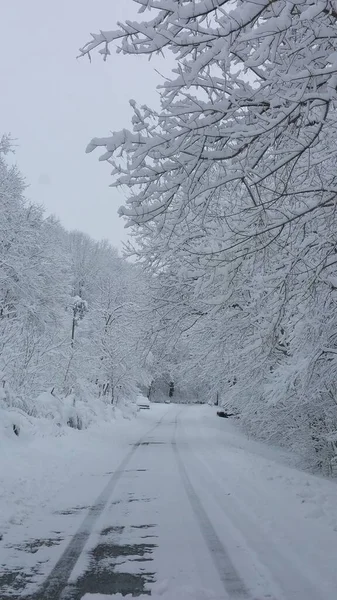 Gefrorener Bach Mitten Winter Eissturm — Stockfoto