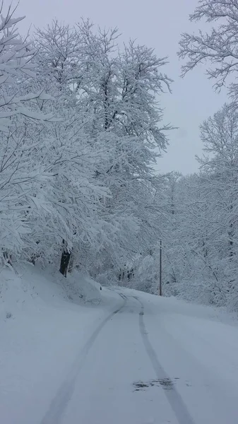 Donmuş dere kışın ortasında, buz fırtınası. 