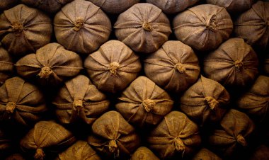 Kentucky 'deki Ark Karşılaşması 