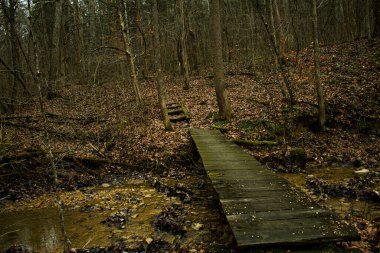 Bridge on a hiking trail in southern Ohio clipart