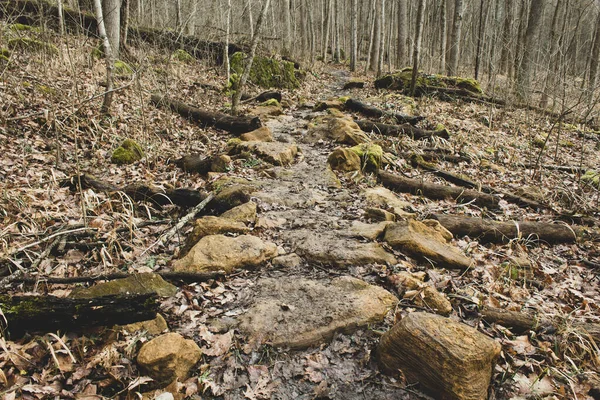 Ohio 'daki Cedar Mills patikasında taş yol.