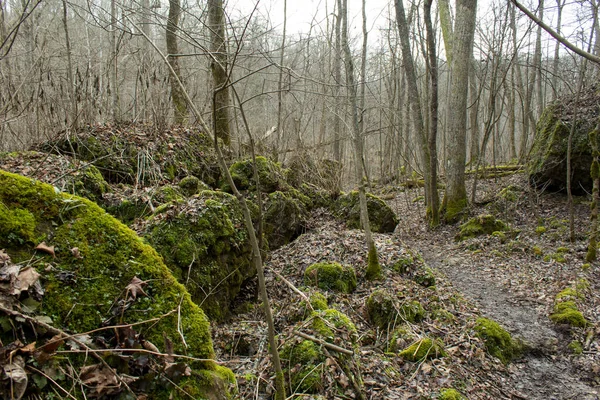 Güneydoğu Ohio 'daki Cedars Mills' den düşen kayalar.