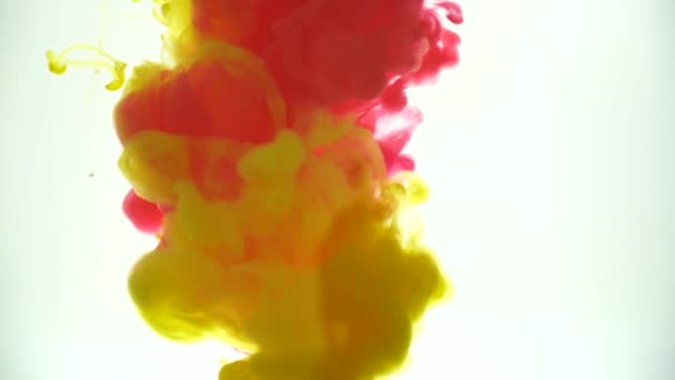 Abstrait Background Particules Vidéo Blanc Fond Boucle — Video
