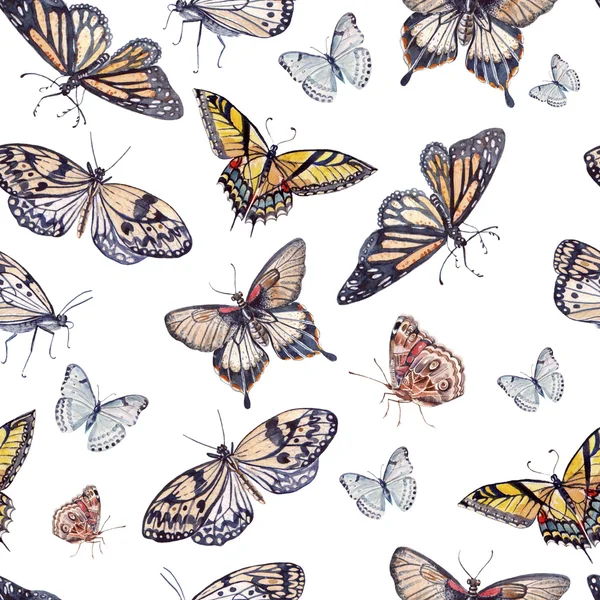 Watercolor pattern with beautiful butterflies. — Stock Photo, Image