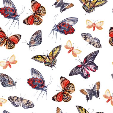 Güzel kelebekler ile suluboya desen.