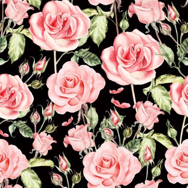 Sulu Boya gerçekçi gül deseni.