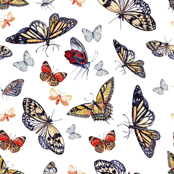 Watercolor pattern with beautiful butterflies. — Stock Photo, Image