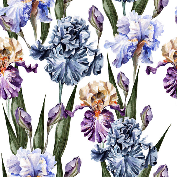 Watercolor pattern with flowers  iris.