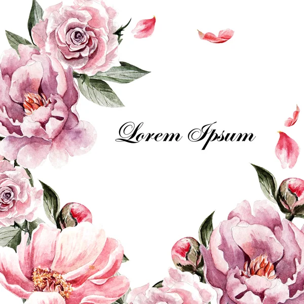 Güzel suluboya kart Şakayık çiçekleri, gül ve bitkiler.