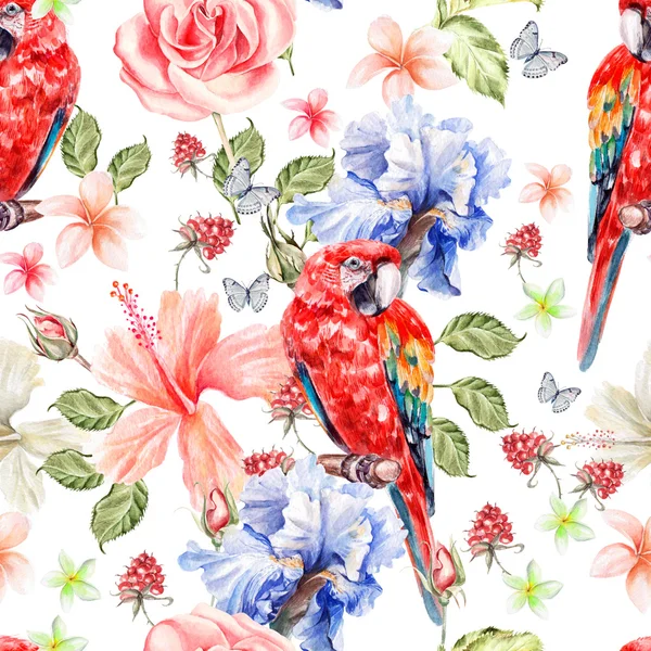 꽃 장미, 아이리스, 히 비 스커 스, 잎과 열매와 앵무새와 물 색상 패턴. — 스톡 사진