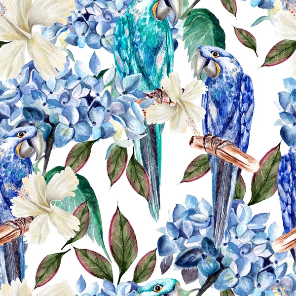 Akvarel vzorek s květy ibišky, hortenzie, listy a papoušek. — Stock fotografie