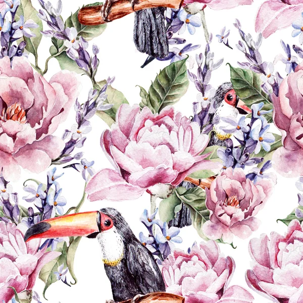 Akvarel bezešvé pattern s Pivoňka květy levandule a Tukan pták. — Stock fotografie