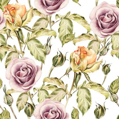 Dikişsiz desen suluboya çiçekli. Rose.
