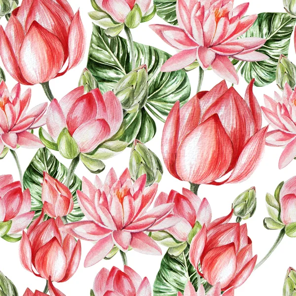 Akvarel vzorek s lotus. — Stock fotografie