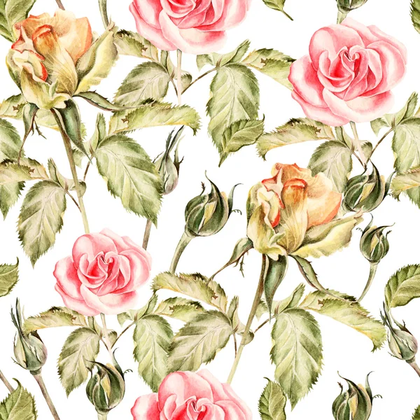 Varrat nélküli mintát akvarell virágokkal. Rózsa. — Stock Fotó
