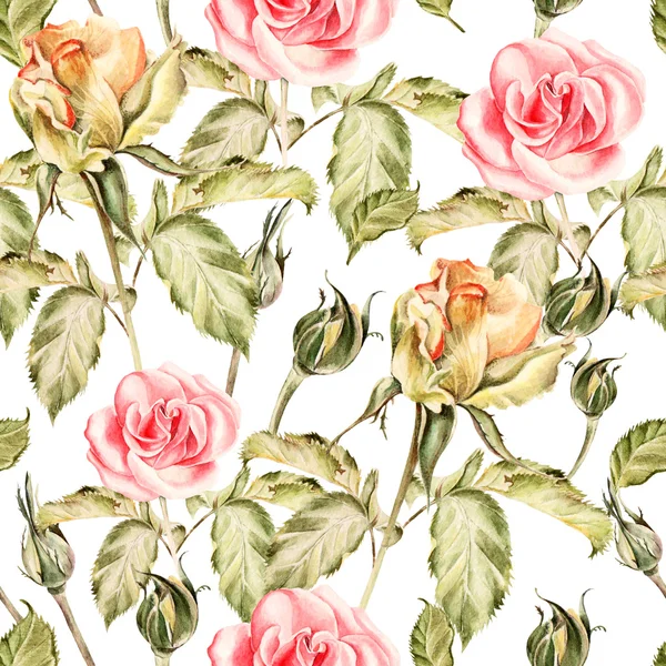 Seamless pattern with watercolor flowers. Rose.