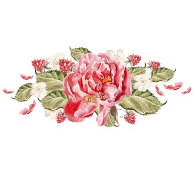 Şakayık çiçekleri.. 