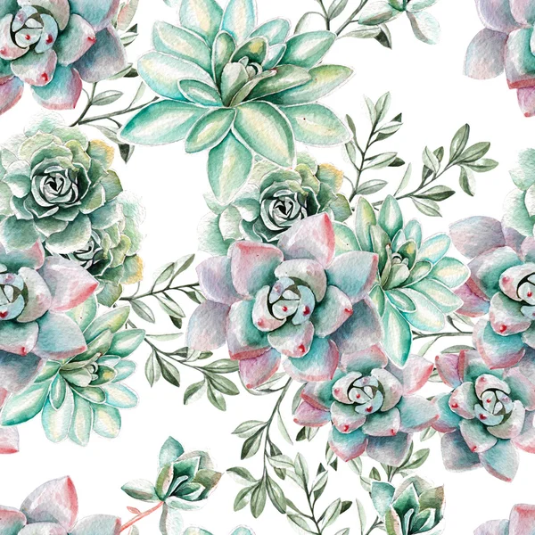 Motif aquarelle avec succulents  . — Photo