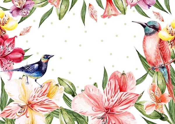 Card of alstroemeria and birds. — Stock Photo, Image