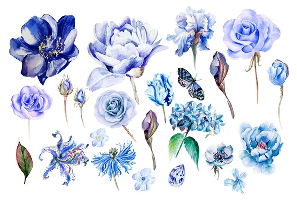 Watercolor set with different flowers Hydrangea, anemone, iris, lily, poppy, peony, rose. — Stock Photo, Image