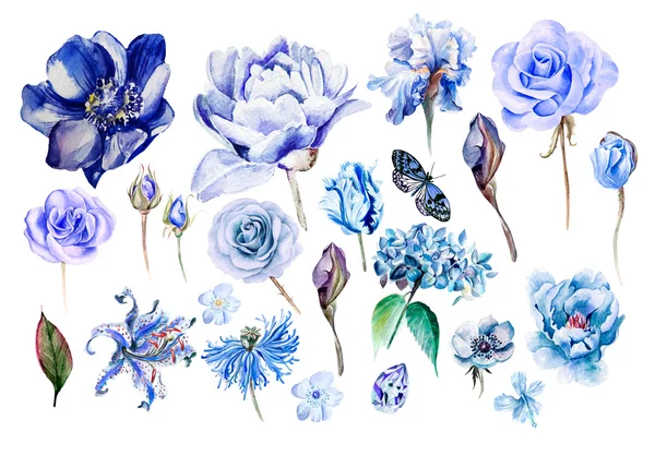 Suluboya farklı çiçeklerle Hydrangea, anemon çiçeği, iris, lily, haşhaş, Şakayık, gül ayarla.