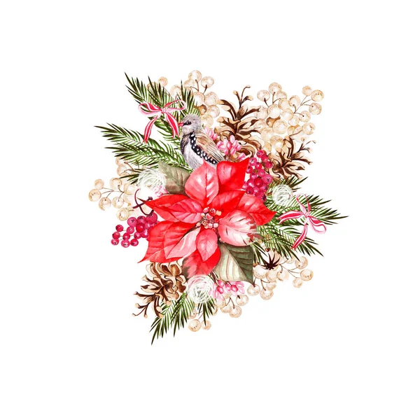 Gyönyörű akvarell karácsonyi csokor madarak, poinsettia és hóbogyó. — Stock Fotó