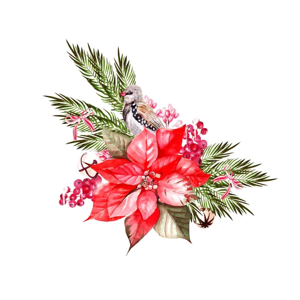 Bellissimo bouquet di Natale ad acquerello con uccelli, poinsettia e snowberry. — Foto Stock