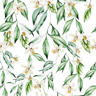 Limon meyveleri ve çiçeklerle renkli suluboya deseni. 