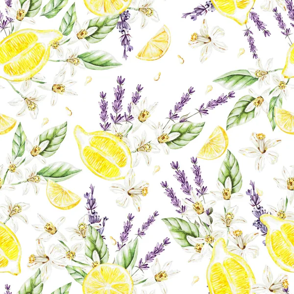 Colorful watercolor pattern with lemon fruits and flowers, lavender . — Stock Photo, Image