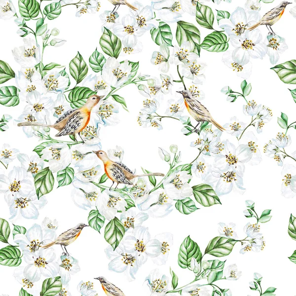 Akvarell Sömlöst Mönster Med Jasmin Blommor Fåglar Illustration — Stockfoto