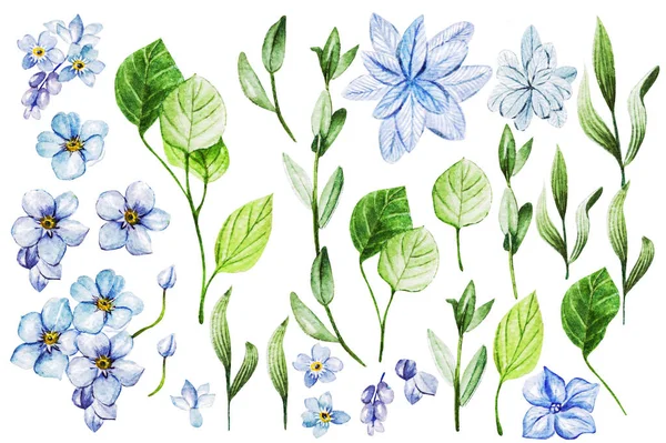 Set Con Acuarela Flores Silvestres Ilustración — Foto de Stock