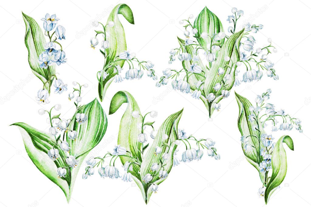 Lilies of the valley flowers. Watercolor hand drawn illustration.