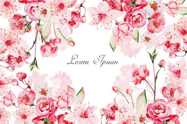 Set, beyaz arka planda izole edilmiş kiraz çiçekleri, yapraklar ve yapraklar. Görüntü.