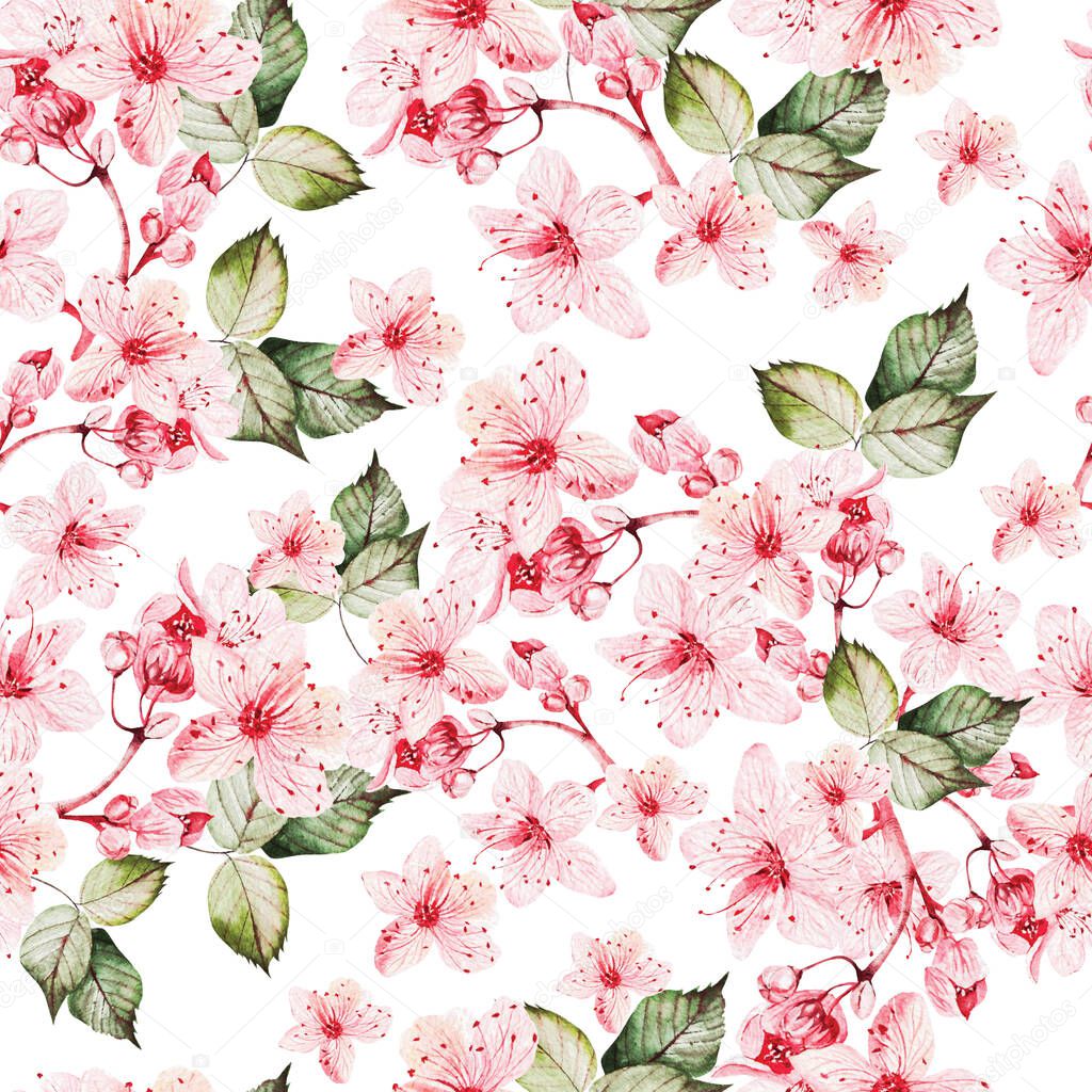 Seamles pattern with japanese sakura with pink flowers and green leaves. Illustration