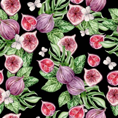 İncir meyveli güzel suluboya desenler. Görüntü